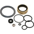 Leonard Valve LEONARD PACKING AND GASKET KIT FOR PAM 11 1/ST/N